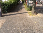 IMG_6594.JPG