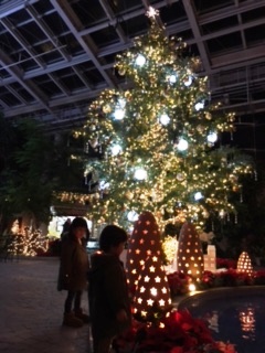 IMG_7163.JPGのサムネイル画像