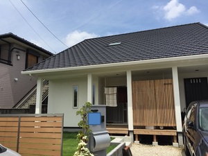 Yem l6599.jpg