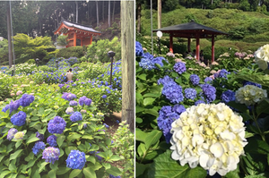 jhgrtyu.pngのサムネイル画像