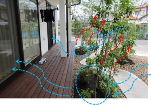 風を起こすhgtyuiuy222