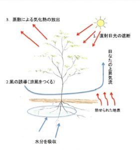 風を起こす87678