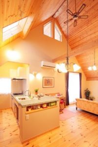 MG_5798-thumb-1086x1629-92160-683x1024