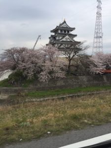 光が降り注ぐ和風平屋の家