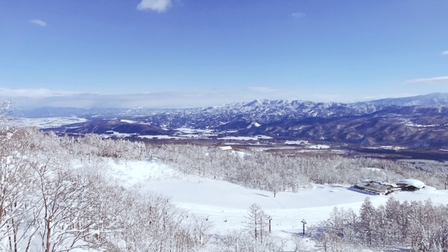 新年完成見学会開催します。