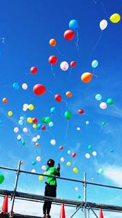 はるかのひまわり 縦.jpg