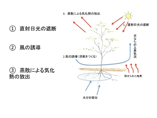 植栽考え方.jpg
