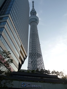 P1010244.JPG