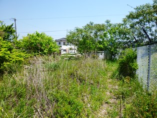 P1010263.JPG