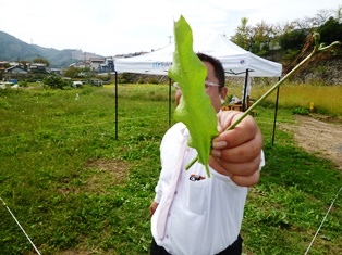 P1020055.JPG