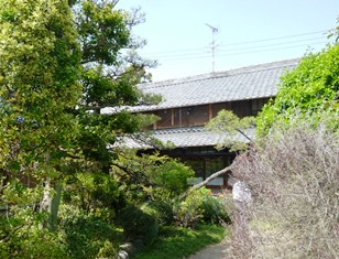 P1020821.JPG