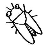 完成見学会 110918b.jpg