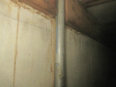 IMG_1952.JPG１０１０Ｋ様　シロアリ蟻道