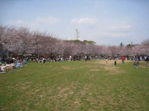 EFBC91-9e890-thumbnail2