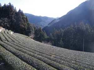 IMGP1770.JPGのサムネイル画像