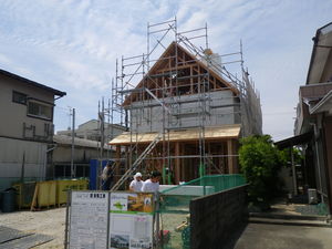 IMGP3091.JPG