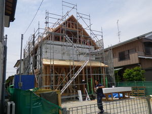 IMGP3092.JPG