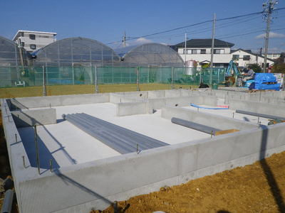 IMGP3718.JPG
