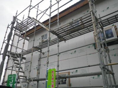 IMGP4112.JPG