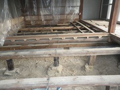 RIMG5148.JPG