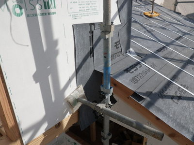 RIMG6104.JPG