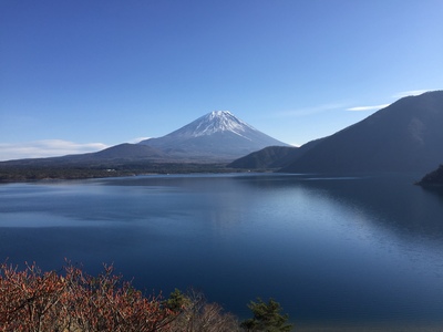 image1.JPG