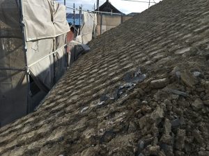 2017-01-05 09.38.47-1