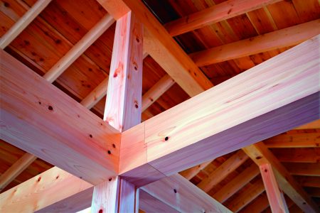 d0617d9b58f981b86a61f569c067f802-450x300