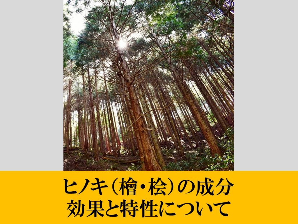 ヒノキ（檜・桧）の成分　効果と特性について