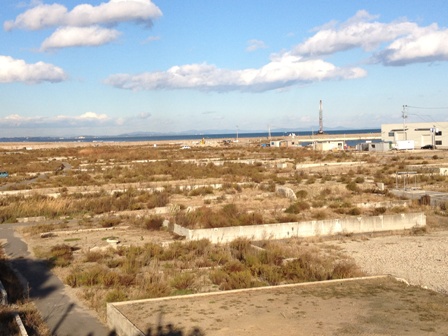 2012-11-20 14.40.24.jpg