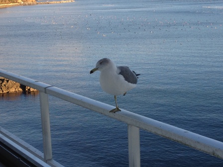 2012-11-21 06.59.52.jpg