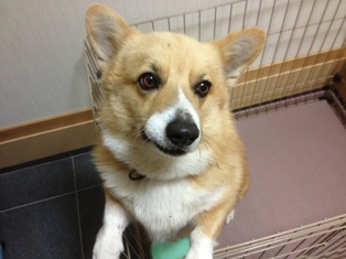 2012-12-10 22.19.30.jpg