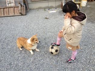 2012-12-18 16.05.10.jpg