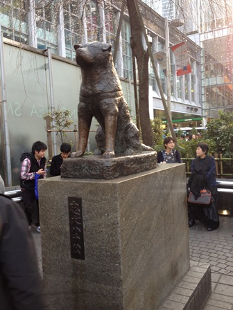 2013-03-19 17.07.49.jpg