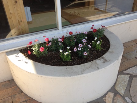 2013-03-21 09.17.37.jpg