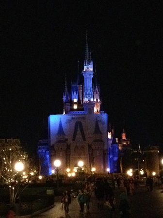 2013-03-26 20.45.13.jpg