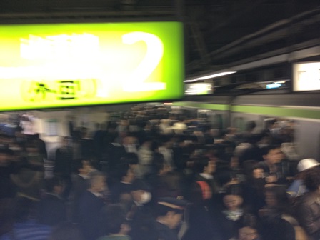 2013-04-03 09.07.09.jpg