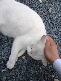 2013-04-05 11.36.44.jpg