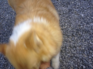 2013-04-05 18.06.07.jpg