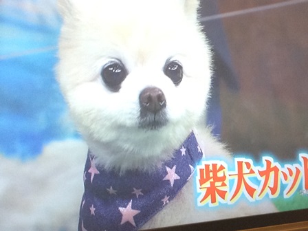 2013-04-21 21.22.49.jpg