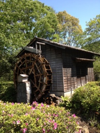 2013-05-03 13.32.34.jpg