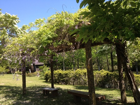 2013-05-03 13.37.04.jpg