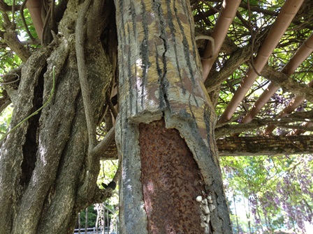 2013-05-03 13.37.38.jpg