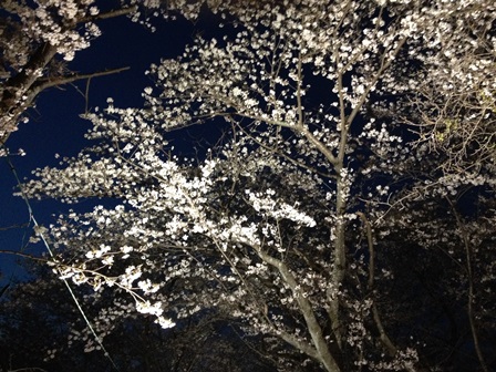 2014-04-01 18.43.07.jpg