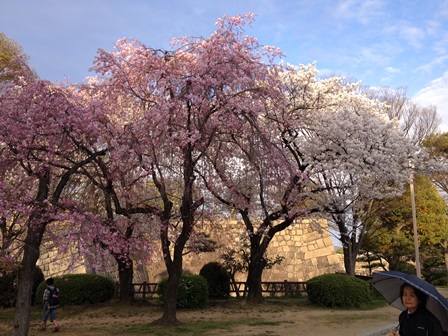 2014-04-02 17.15.16.jpg