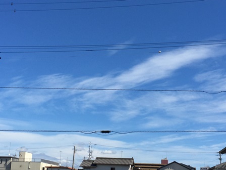 2014-10-06 12.51.19.jpg