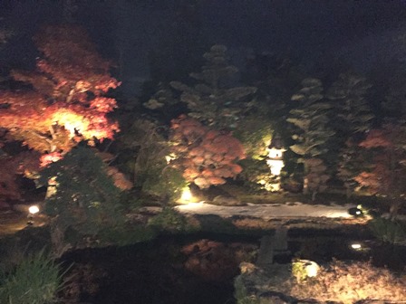 2014-12-18 19.25.51.jpg