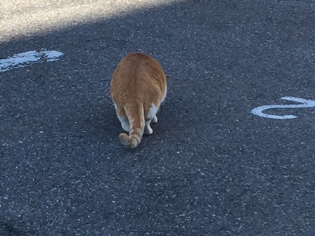 2015-02-16 15.03.22.jpg