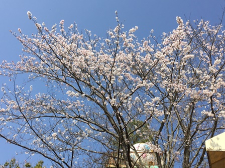 2015-03-31 14.27.55.jpg