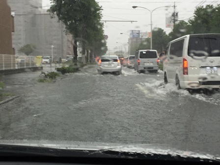 2015-09-08 09.11.04.jpg